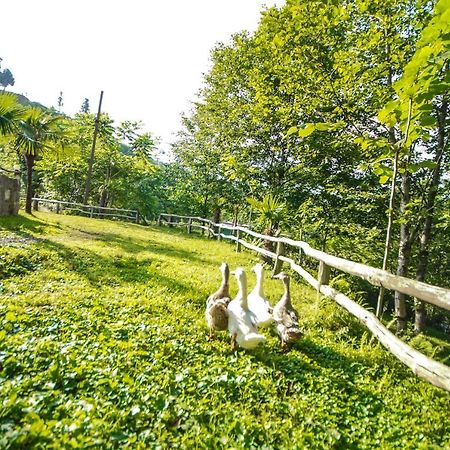 Oasis Gasamania Hotel Batumi Luaran gambar